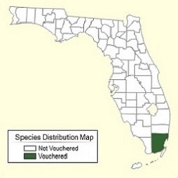 Winged bean distribution range in South Florida