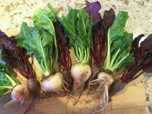 Red and white beets