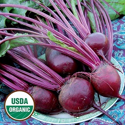 Beet Detroit Dark Red