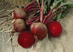 Beet Long Season Pink Stem from GardenTrends