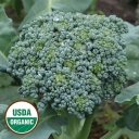 De Cicco Broccoli