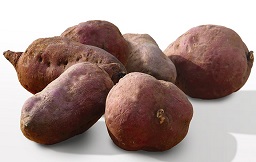 Sweetpotato