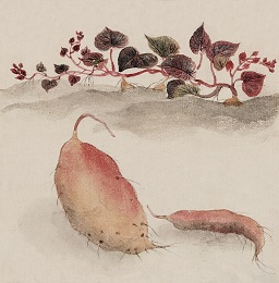 Sweet potato watercolor