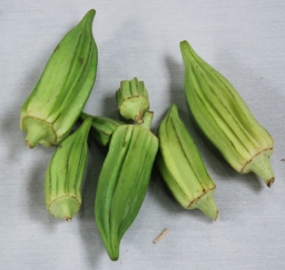 Star of David Okra