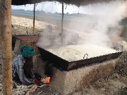 Molasses made from the sugarcane juice of the village