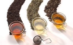 The three major classes of tea: black (left), green (center), and oolong