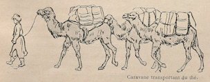 Caravane transportant du thé