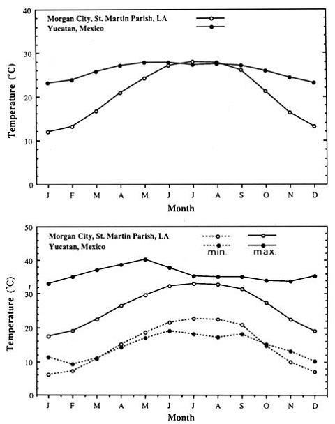 Daily mean temperatures (top), and maximum and minimum temperatures (bottom) of Yucatan, Mexico (period 1931-1960) and Morgan City, Louisiana (period 1951-1980).